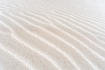 Close-up detail of natural patterns on sand dune surface