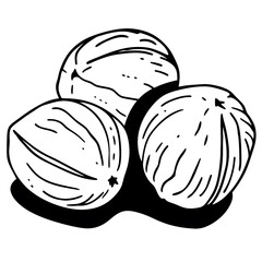 Hand-drawn illustration of three whole walnuts