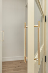 Modern hardware detail: straight chrome handle installed vertically on white door