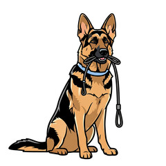 Obraz premium German shepherd dog sitting attentively holding a leash in its mouth, ready for a walk, isolated on white background