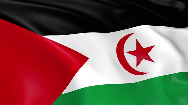 Photo realistic slow motion 4KHD flag of the Sahrawi Arab Democratic Republic waving in the wind.  Seamless loop animation with highly detailed fabric texture in 4K resolution.