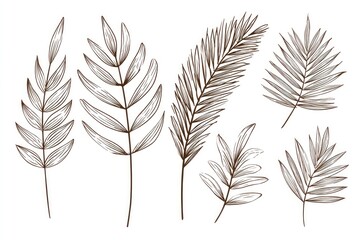 Obraz premium Set of stylized foliage illustrations.