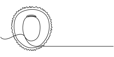lychee fruit continuous one line drawing,  Fresh summer fruitage concept for fruit garden icon. Modern one line draw design vector graphic illustration. 