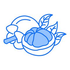 Mangosteen Icon