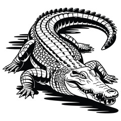 crocodile in black and white
