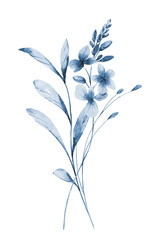 Bouquet blue flowers, digital floral illustration isolated on white background.
