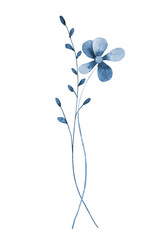 Bouquet blue flowers, digital floral illustration isolated on white background.
