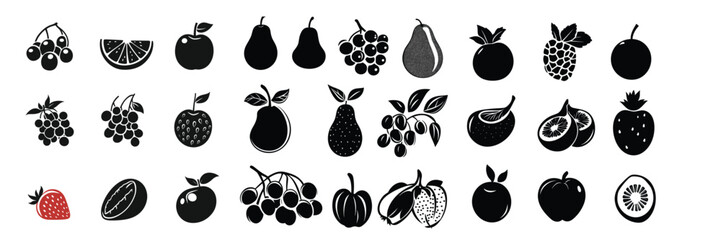 set of fruit and seed silhouettes for botany and organic design themes