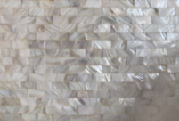 Shimmering Mother-of-Pearl Mosaic: Elegant Iridescent Wall Design