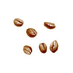 Coffee beans scattered in watercolor illustration. Minimalistic, elegant design for packaging, labels, or coffee-themed projects, emphasizing natural and organic aesthetics