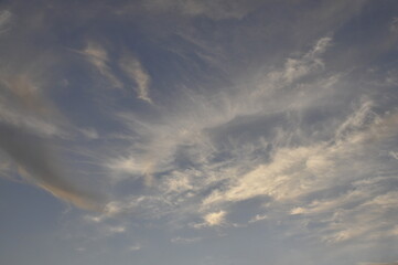 雲