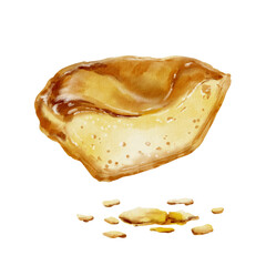 Halved pastel de nata with creamy custard and crumbs-traditional Portuguese dessert.Egg custard baked in a puff pastry shell at high oven temperature.Watercolor illustration isolated on white