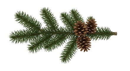 Fir Tree Branch with Pinecones Isolated on White – Natural Evergreen Holiday Decoration Element.