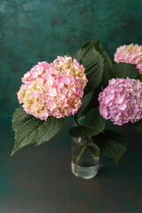 Hydrangea flowers in vase against rich green backdrop – perfect for minimalistic design, floral...