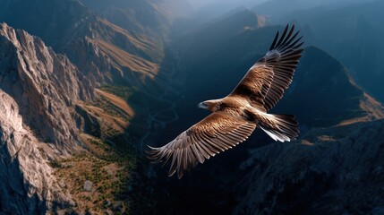 Magnificent golden eagle soaring above a rugged, expansive mountain landscape in bright sunlight.
