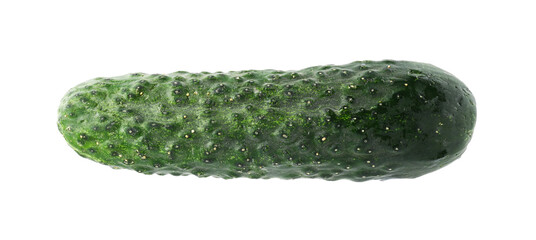 One fresh green cucumber isolated on white