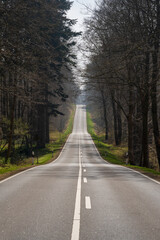 Cliffs and Forests of Jasmund, Germany