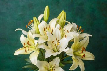 Soft cream lilies bouquet in vases on textured green background – romantic decor or wedding theme