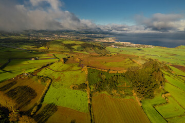 Fototapety na wymiar - Fototapeta24.pl
