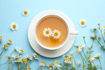 Tasty chamomile tea and flowers on light blue background, flat lay