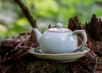 Teapot in the Forest – Teapot Hill, Chilliwack, BC, Magical Forest wonderland