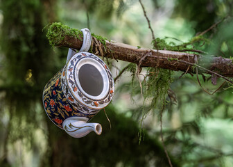 Teapot in the Forest – Teapot Hill, Chilliwack, BC, Magical Forest wonderland
