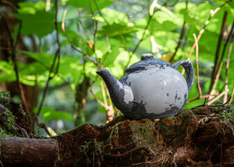 Teapot in the Forest – Teapot Hill, Chilliwack, BC, Magical Forest wonderland