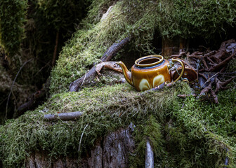 Teapot in the Forest – Teapot Hill, Chilliwack, BC, Magical Forest wonderland