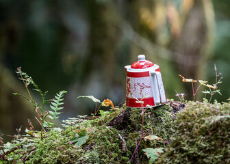 Teapot in the Forest – Teapot Hill, Chilliwack, BC, Magical Forest wonderland