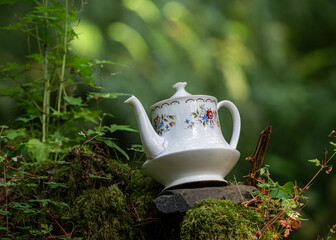 Teapot in the Forest – Teapot Hill, Chilliwack, BC, Magical Forest wonderland