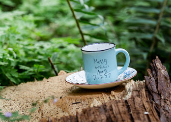 Teapot in the Forest – Teapot Hill, Chilliwack, BC, Magical Forest wonderland
