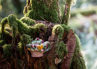 Teapot in the Forest – Teapot Hill, Chilliwack, BC, Magical Forest wonderland