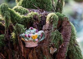 Teapot in the Forest – Teapot Hill, Chilliwack, BC, Magical Forest wonderland