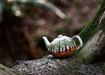 Teapot in the Forest – Teapot Hill, Chilliwack, BC, Magical Forest wonderland