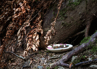 Teapot in the Forest – Teapot Hill, Chilliwack, BC, Magical Forest wonderland