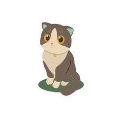 A cat sitting and waiting for food.