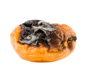 Sticky rotten fruit isolated on white background