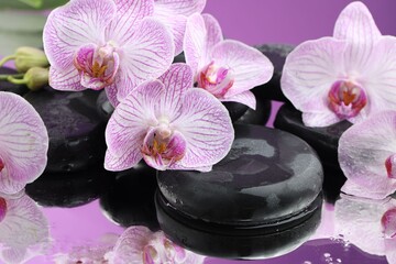 Beautiful orchid flowers, water drops and spa stones on mirror surface, closeup