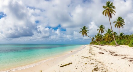 3d icon of idyllic tropical beach with palm trees and turquoise water in paradise transparent background