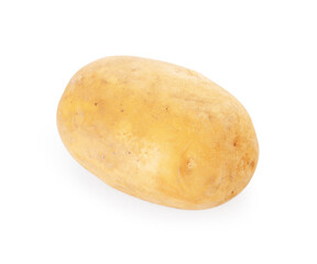 One fresh raw potato isolated on white