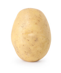 One fresh raw potato isolated on white