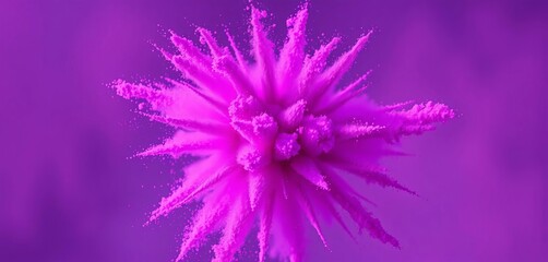 Obraz premium Purple powder explodes outwards in a radial pattern, creating a vibrant cloud, dye, abstract