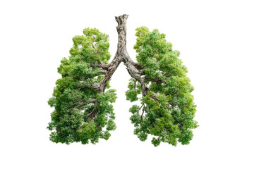 Lungs formed from lush green trees, a symbolic image of environmental health