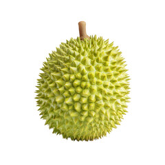 Green durian fruit, whole, isolated (1)