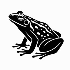 frog, illustration, design, animal, nature, blackandwhite, graphic, wildlife, amphibian, vector, natureart, detailed, natureillustration, animalart, wild, hopping, creature, outdoor, frogdesign, ecolo