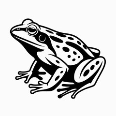 frog, illustration, design, animal, nature, blackandwhite, graphic, wildlife, amphibian, vector, natureart, detailed, natureillustration, animalart, wild, hopping, creature, outdoor, frogdesign, ecolo
