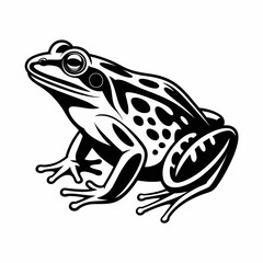 frog, illustration, design, animal, nature, blackandwhite, graphic, wildlife, amphibian, vector, natureart, detailed, natureillustration, animalart, wild, hopping, creature, outdoor, frogdesign, ecolo