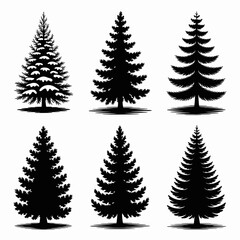 pine, tree, vector, illustration, nature, silhouette, conifer, forest, design, botanical, blackandwhite, evergreen, natureart, plant, outdoors, treeart, landscape, wood, decoration, seasonal, natureil