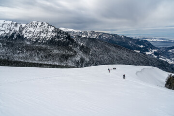Hiver en Chartreuse , randonnée sur les pentes du Grand Manti , isère , France