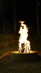 Warm Bonfire in Stone Pit at Night with Sparks and Trees